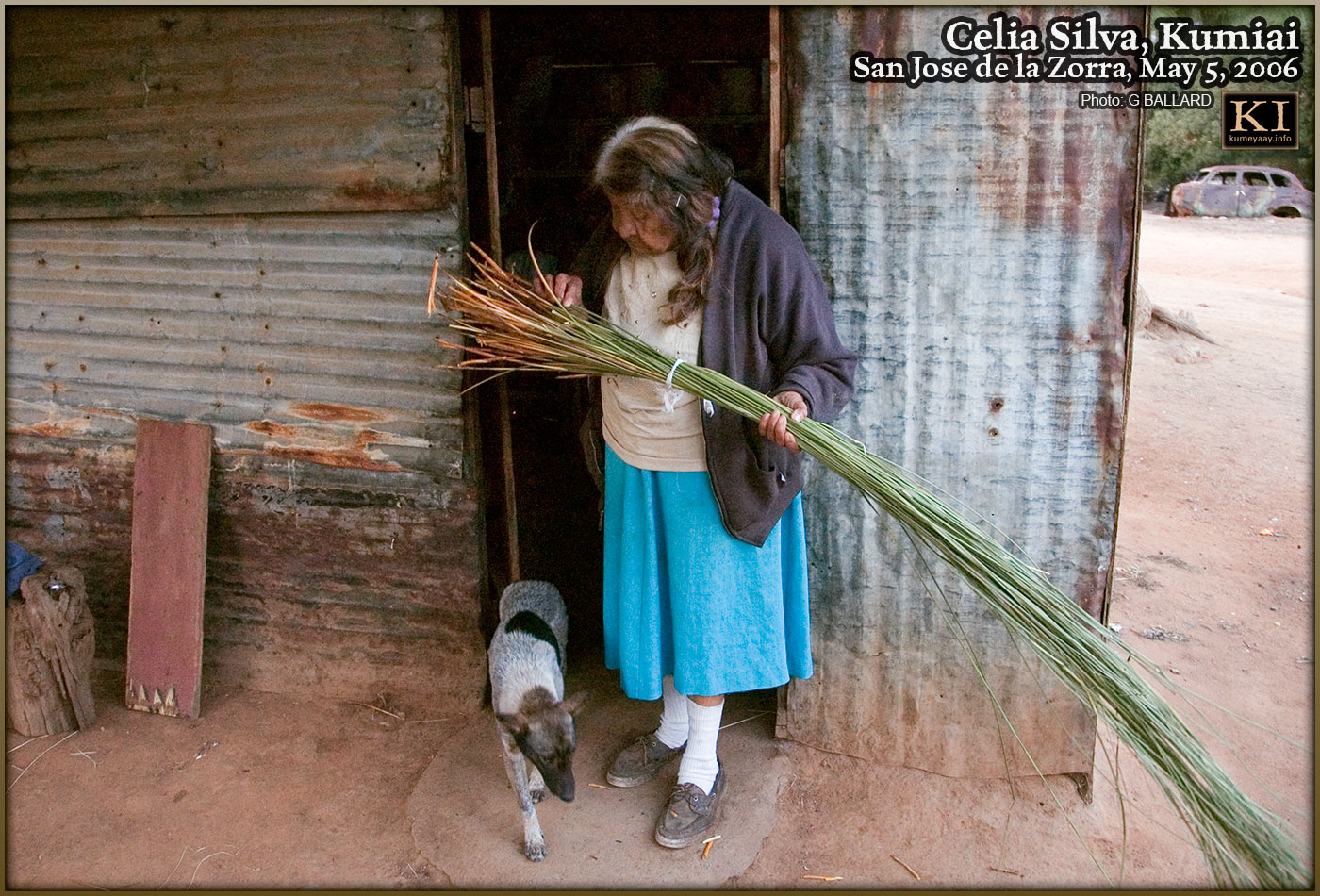 Juncus Basketweaver indigenous tribal shack lifestyle pictures.