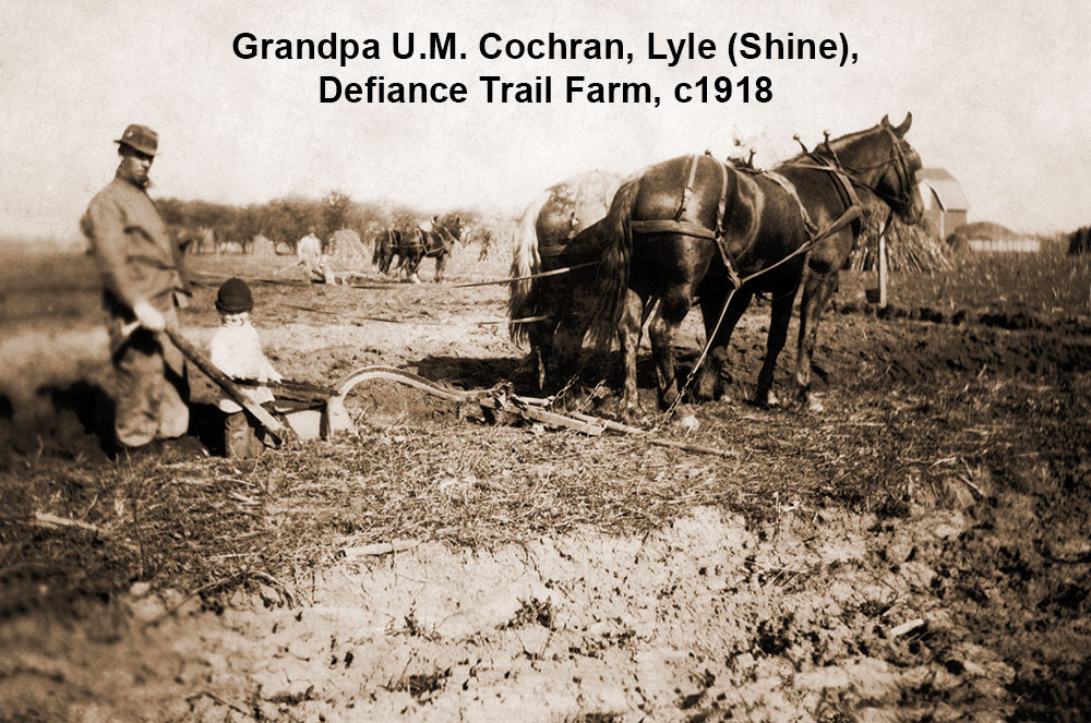 Man with boy horses plowing field 1918 historical photograph.