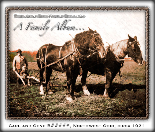 DOCUMENTARY MOVIE WATCH